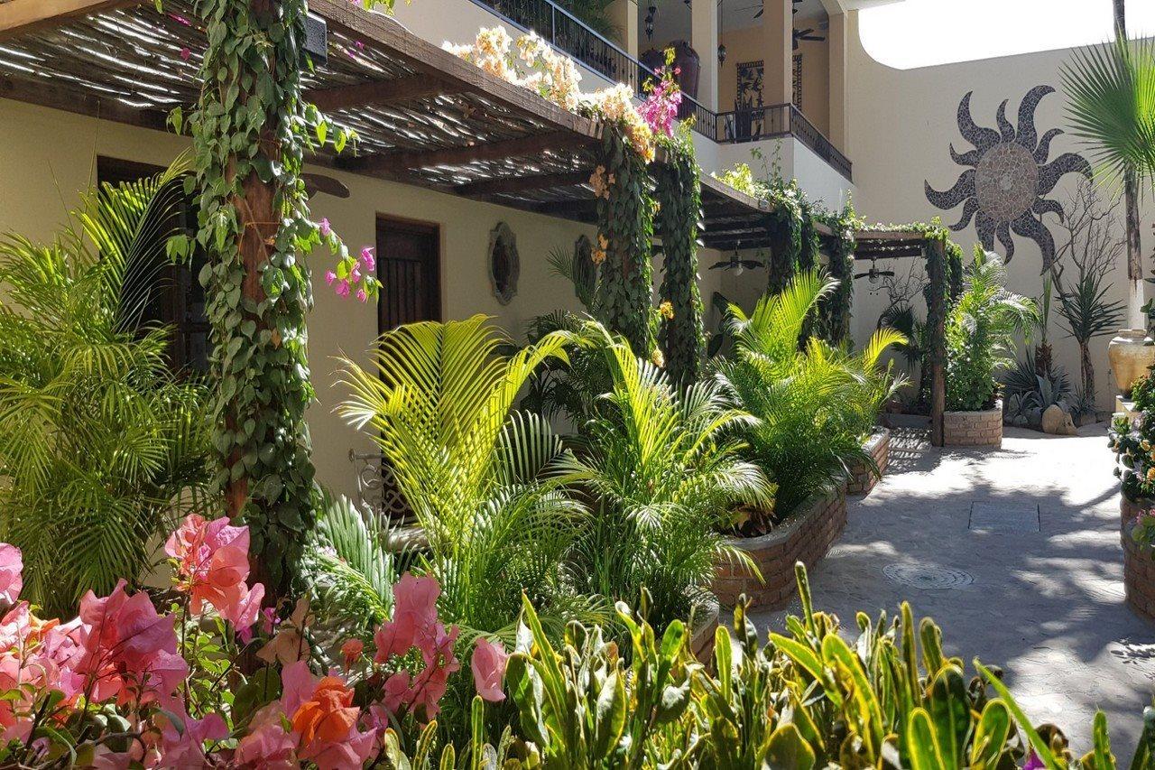 Posada De Las Flores ラパス エクステリア 写真