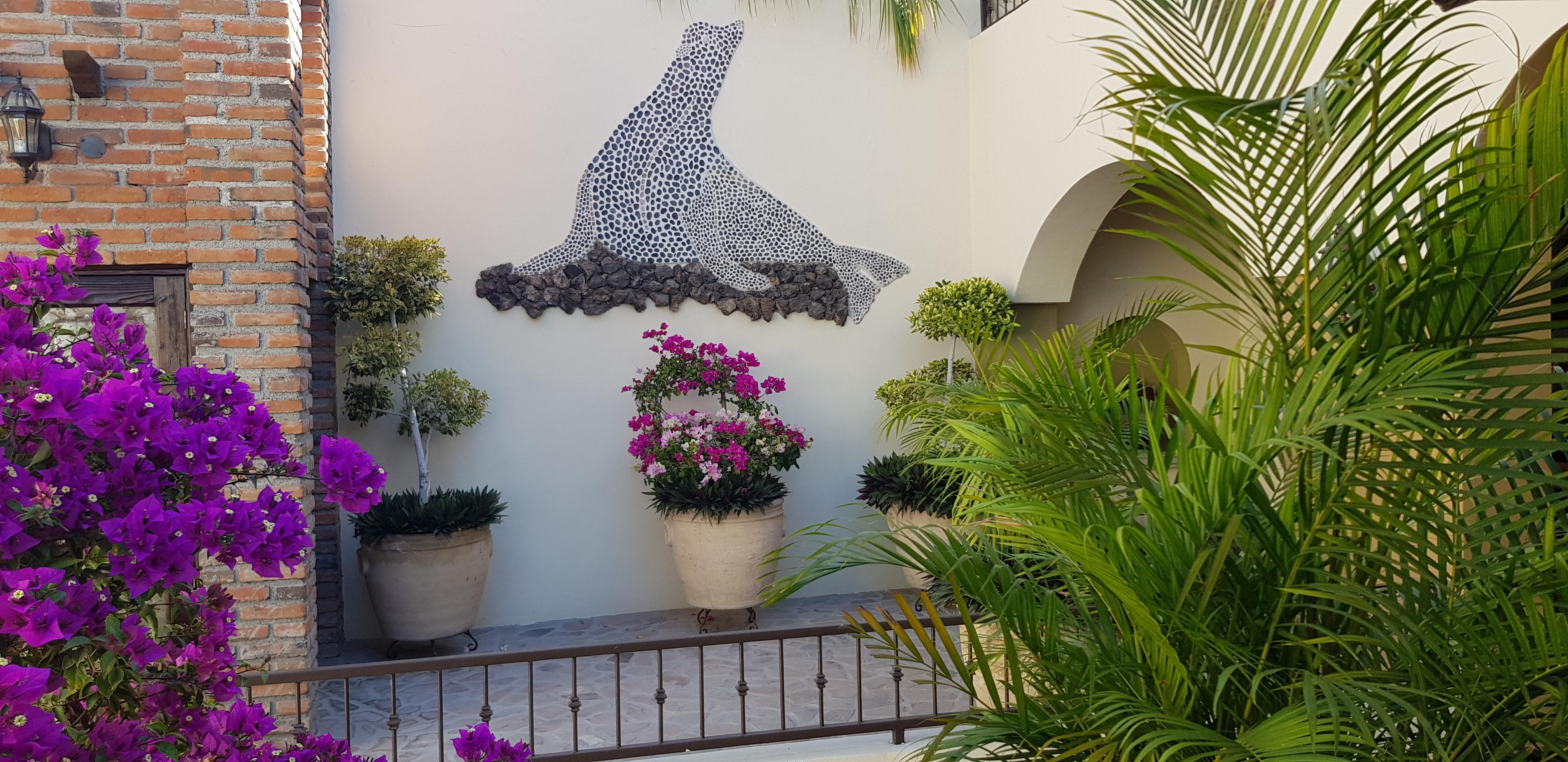 Posada De Las Flores ラパス エクステリア 写真